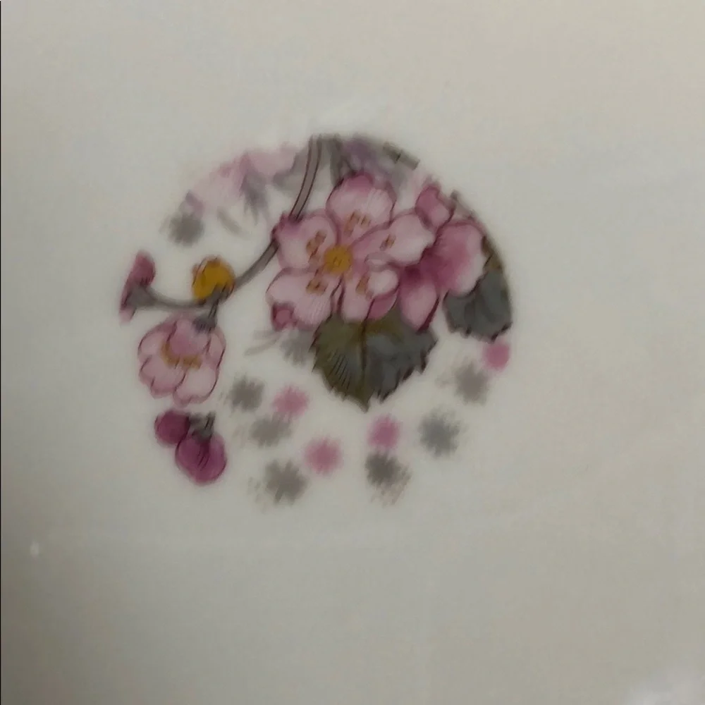 1880's HAVILAND & CO. LIMOGES H&CO DEPOSE